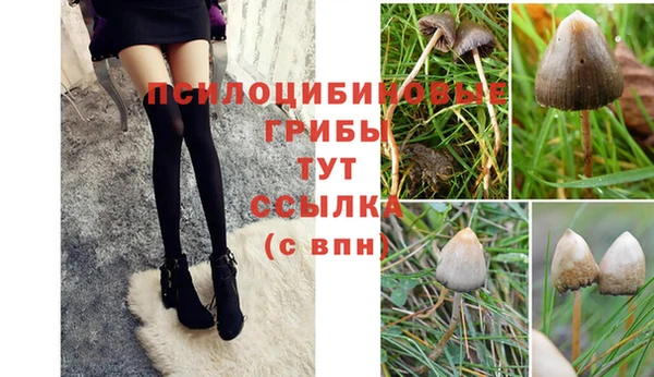 скорость Алзамай