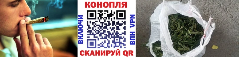 Конопля планчик  где купить наркоту  Бокситогорск 